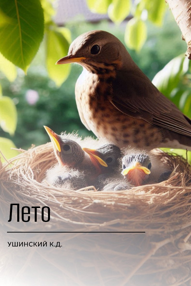 Лето