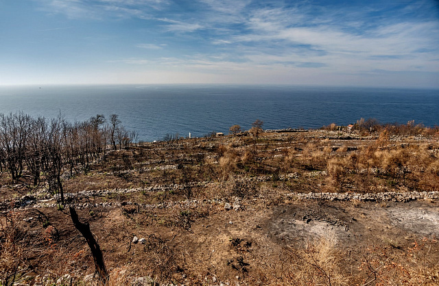 Plot with construction plan in Rezevici — photo 6
