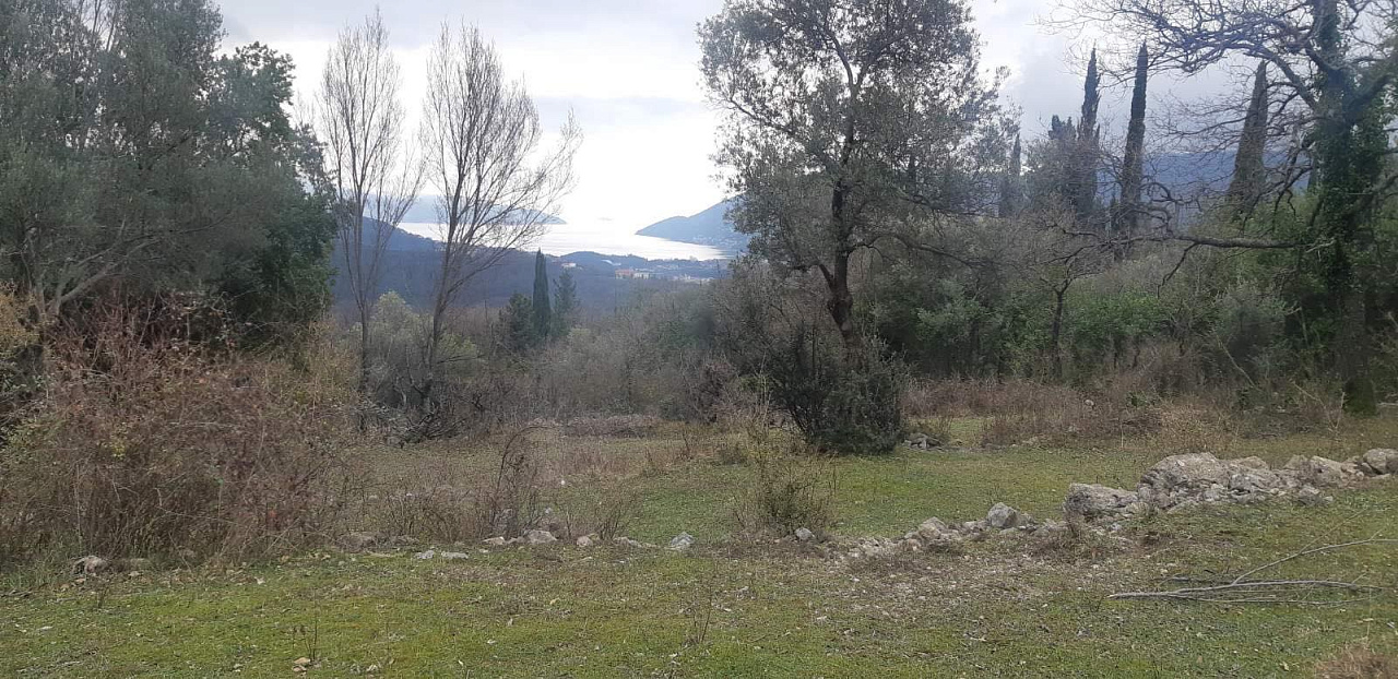 Grundstück von 9800 m2 in einem der Bezirke Herceg Novi - Mojdez