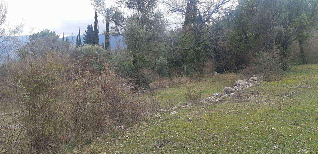 Grundstück von 9800 m2 in einem der Bezirke Herceg Novi - Mojdez