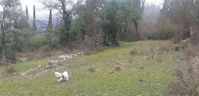 Grundstück von 9800 m2 in einem der Bezirke Herceg Novi - Mojdez