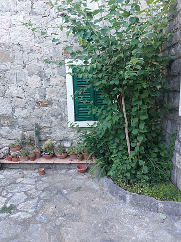 Haus in Bar, 200m², mit drei Schlafzimmern — photo 8