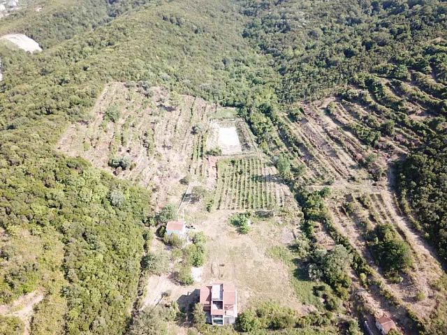 Grundstück in Radanovići, 83.000 m²