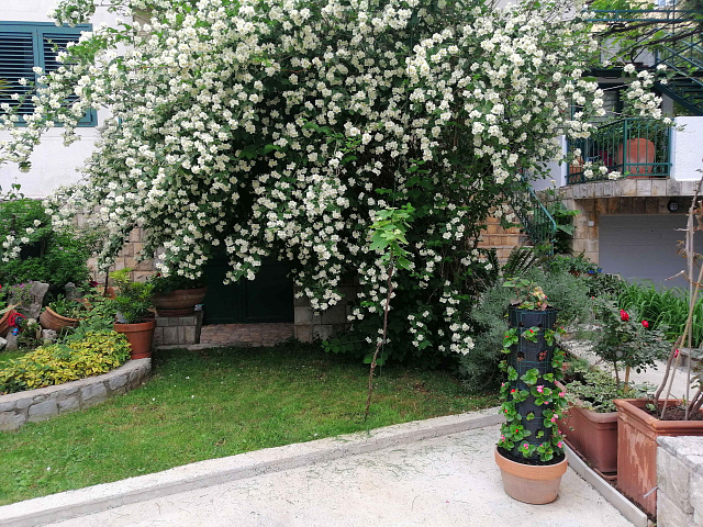 Geräumiges Haus in Budva — photo 15