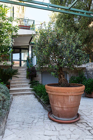 Geräumiges Haus in Budva — photo 40