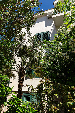 Geräumiges Haus in Budva — photo 42