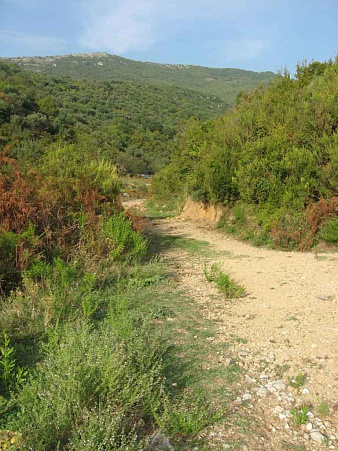 Land in Kuti — photo 3