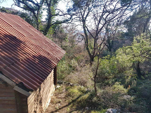 Las Land