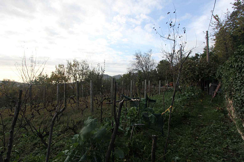 Grundstück in der Region Herceg Novi — photo 3