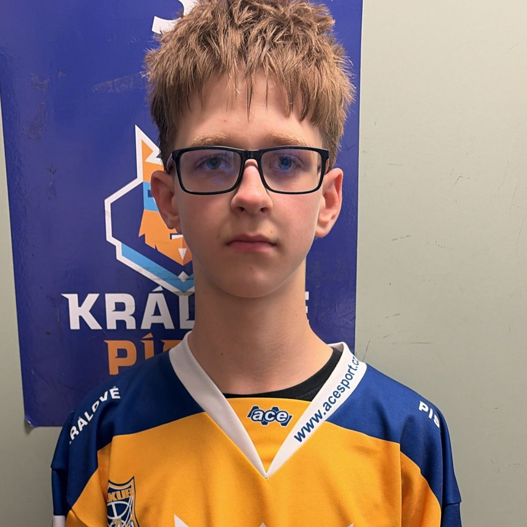 Voievoda Artem