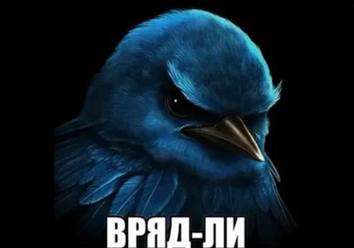 738ead2494a172913d721604926bd288.png