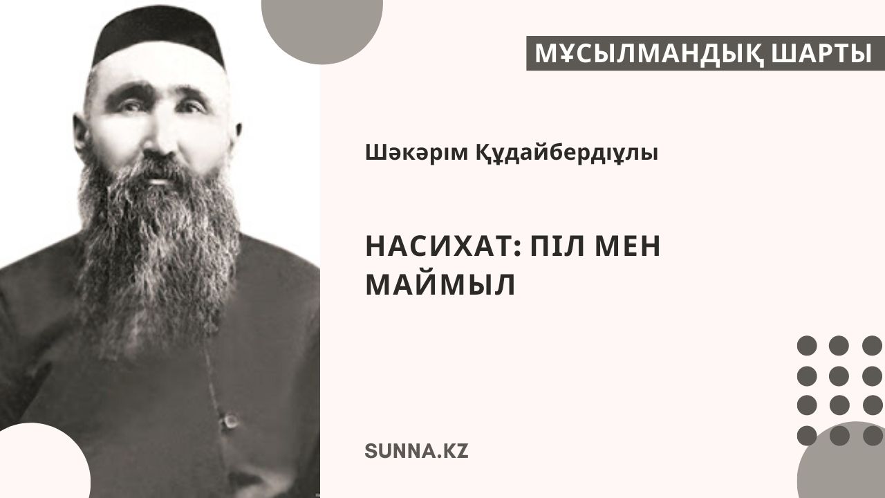 Насихат: Піл мен маймыл