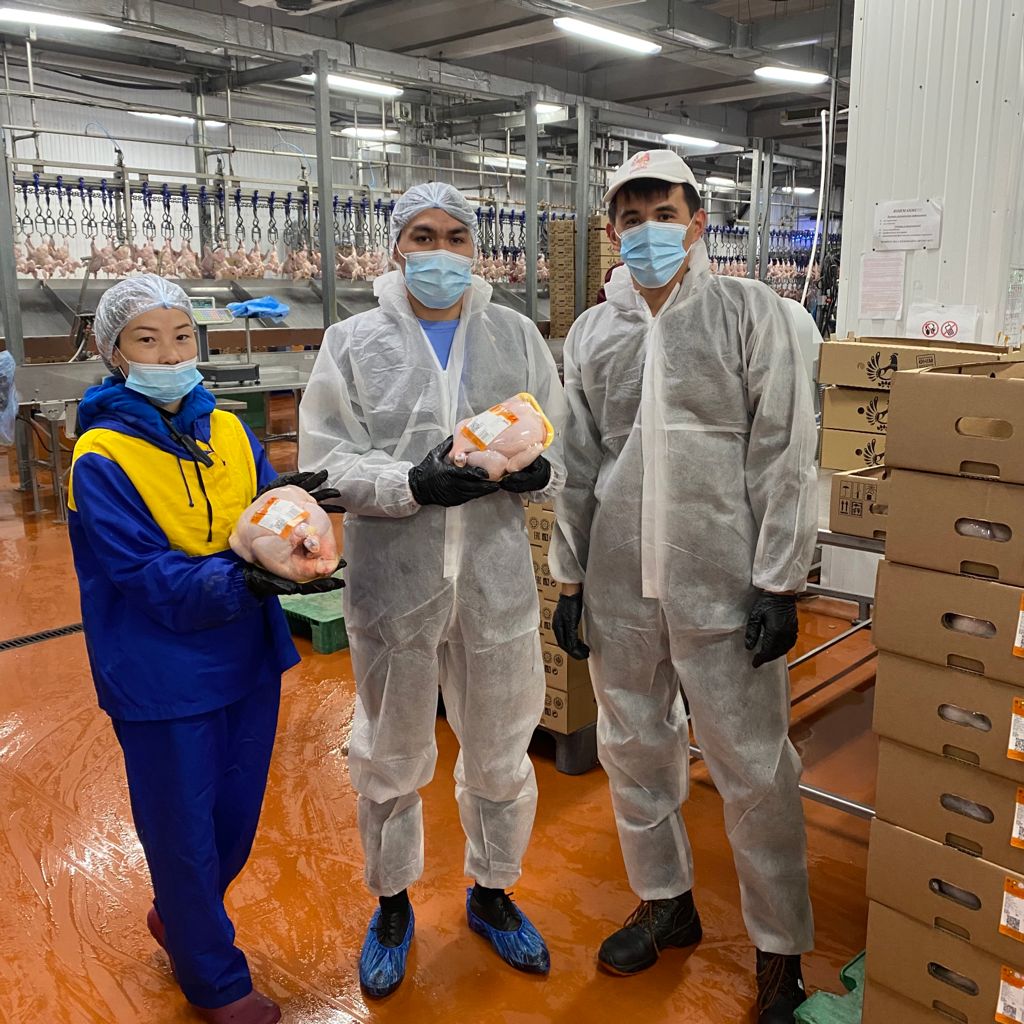 «QMDB halal»: «Курочка ряба» құс фабрикасы тексерілді