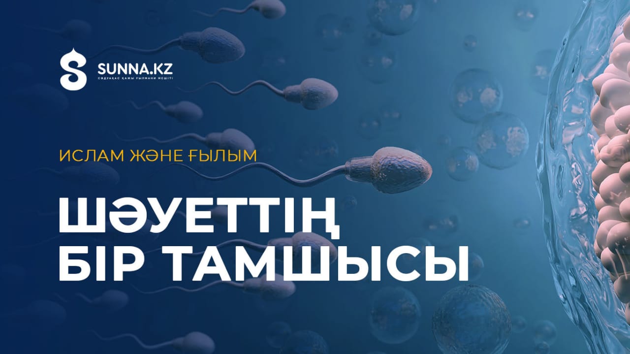 Шәуеттің бір тамшысы