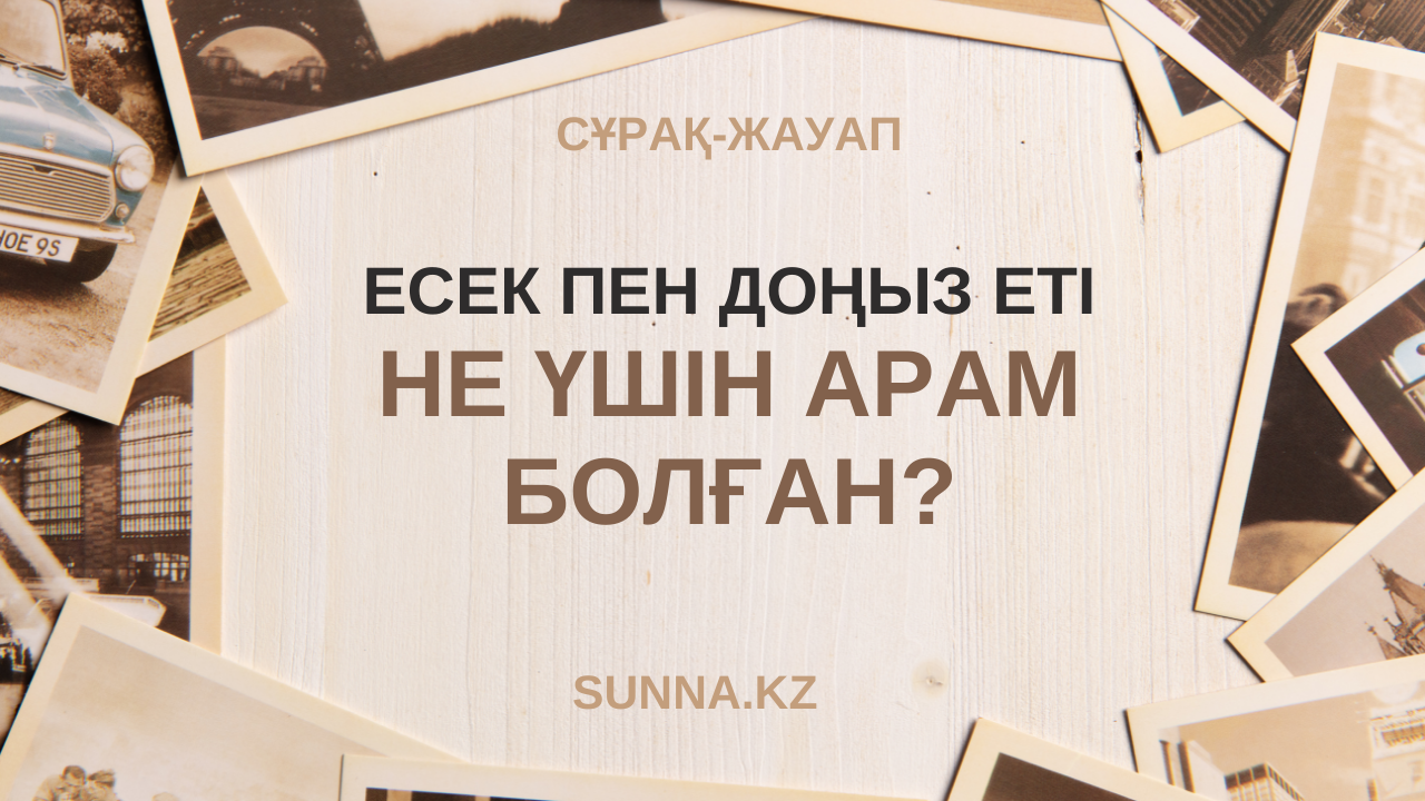 Есек пен доңыз еті не үшін арам болған?