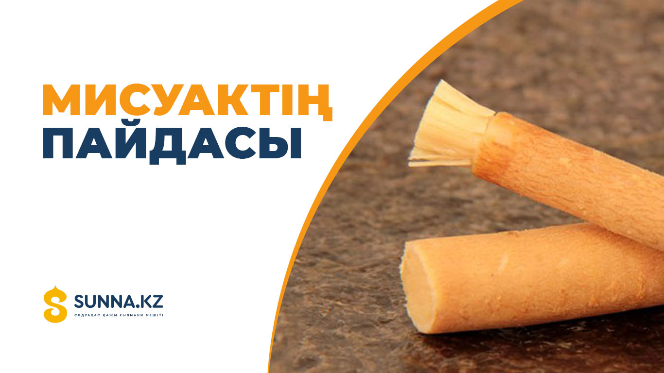 Мисуактің пайдасы