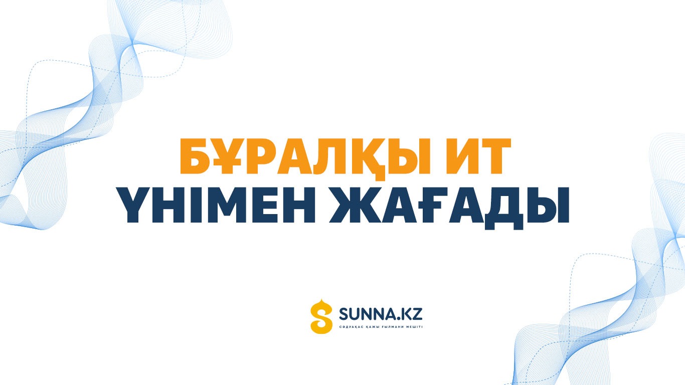 Бұралқы ит үнімен жағады