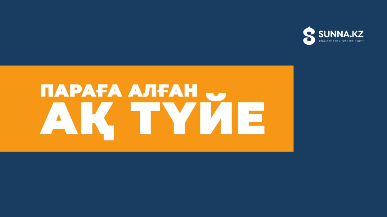 Параға алған ақ түйе