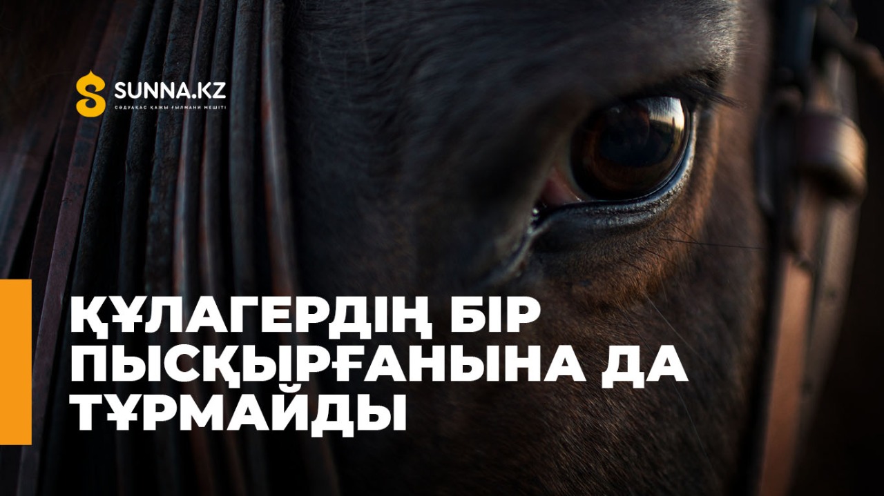 Құлагердің бір пысқырғанына да тұрмайды