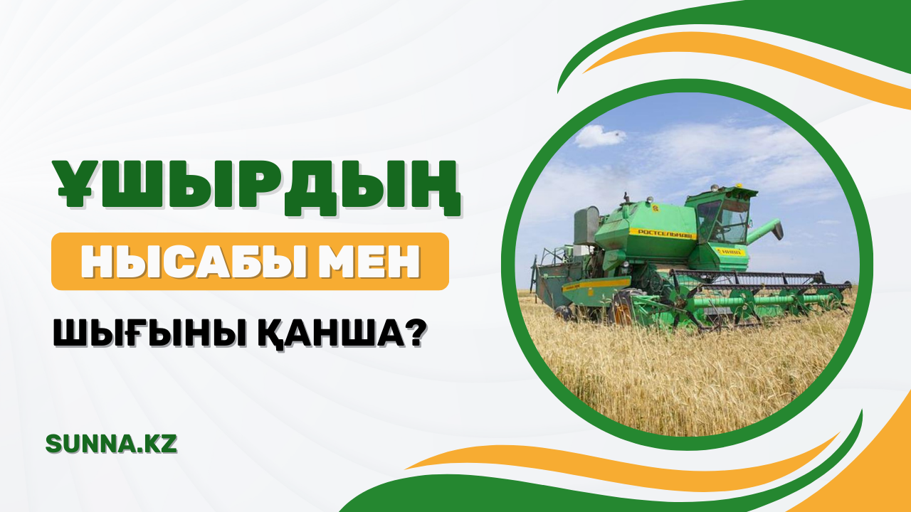 Ұшыр нысабы мен шығыны қанша?