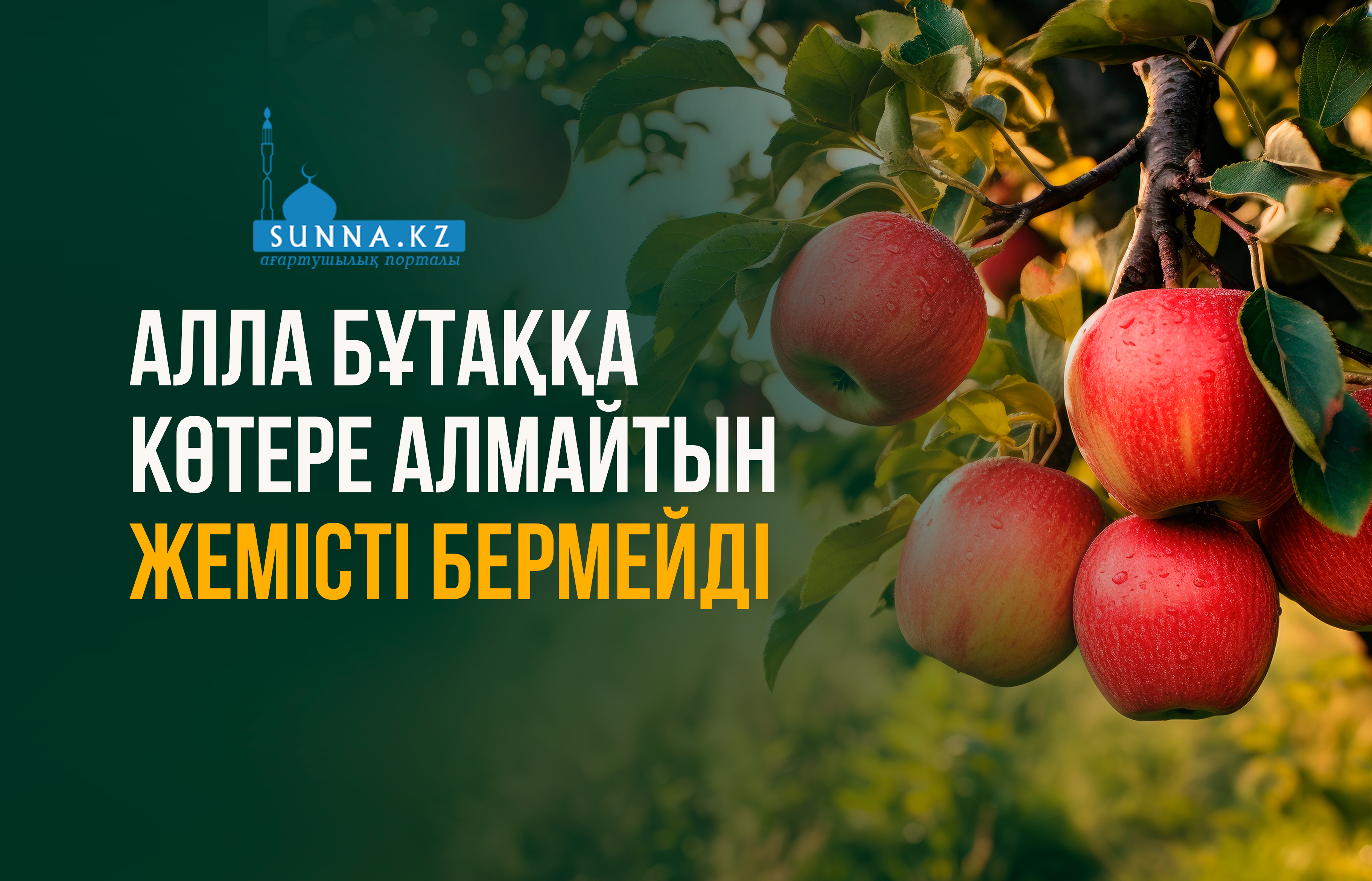 Алла бұтаққа көтере алмайтын жемісті бермейді
