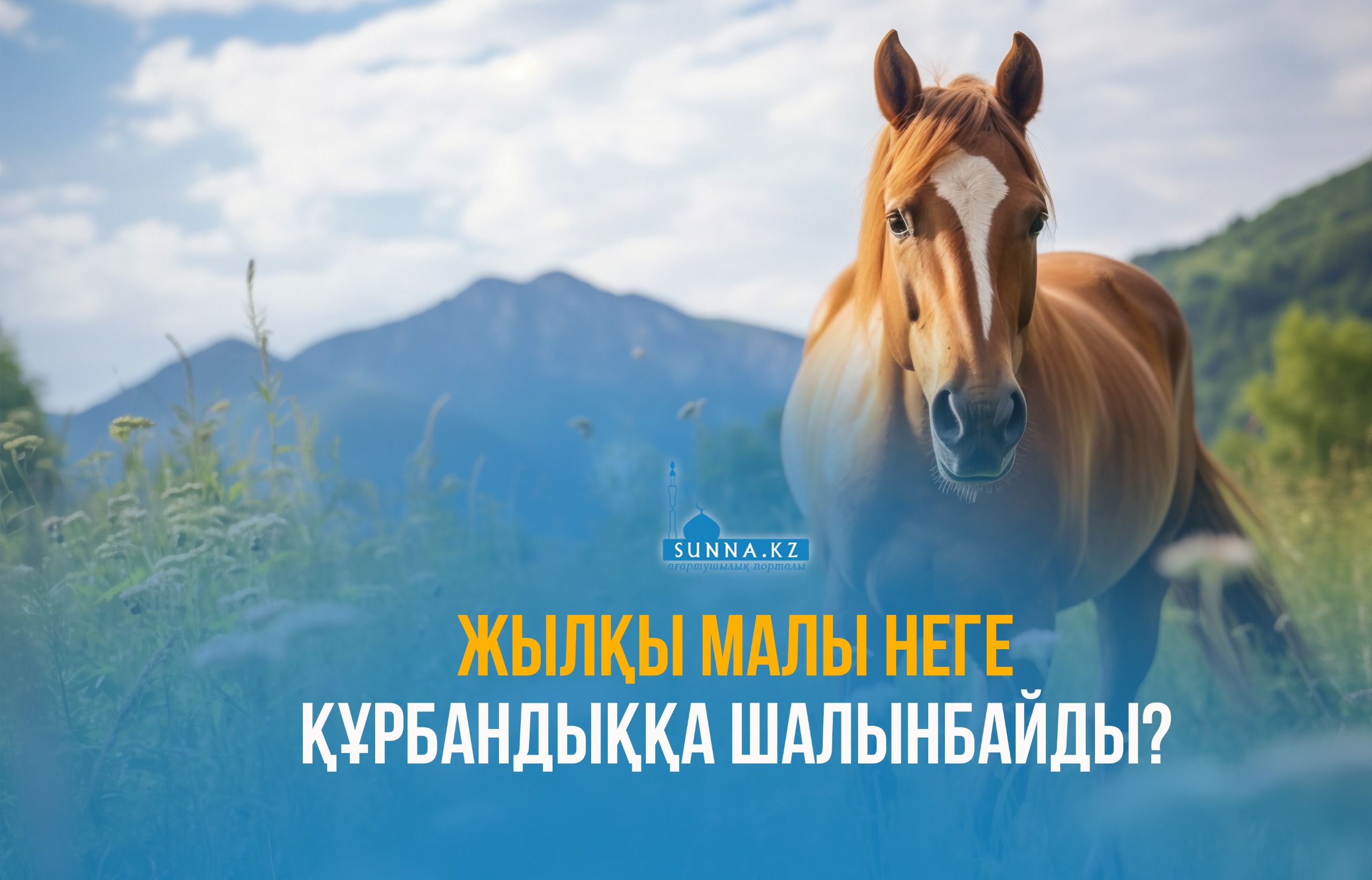 Жылқы малы неге құрбандыққа шалынбайды?