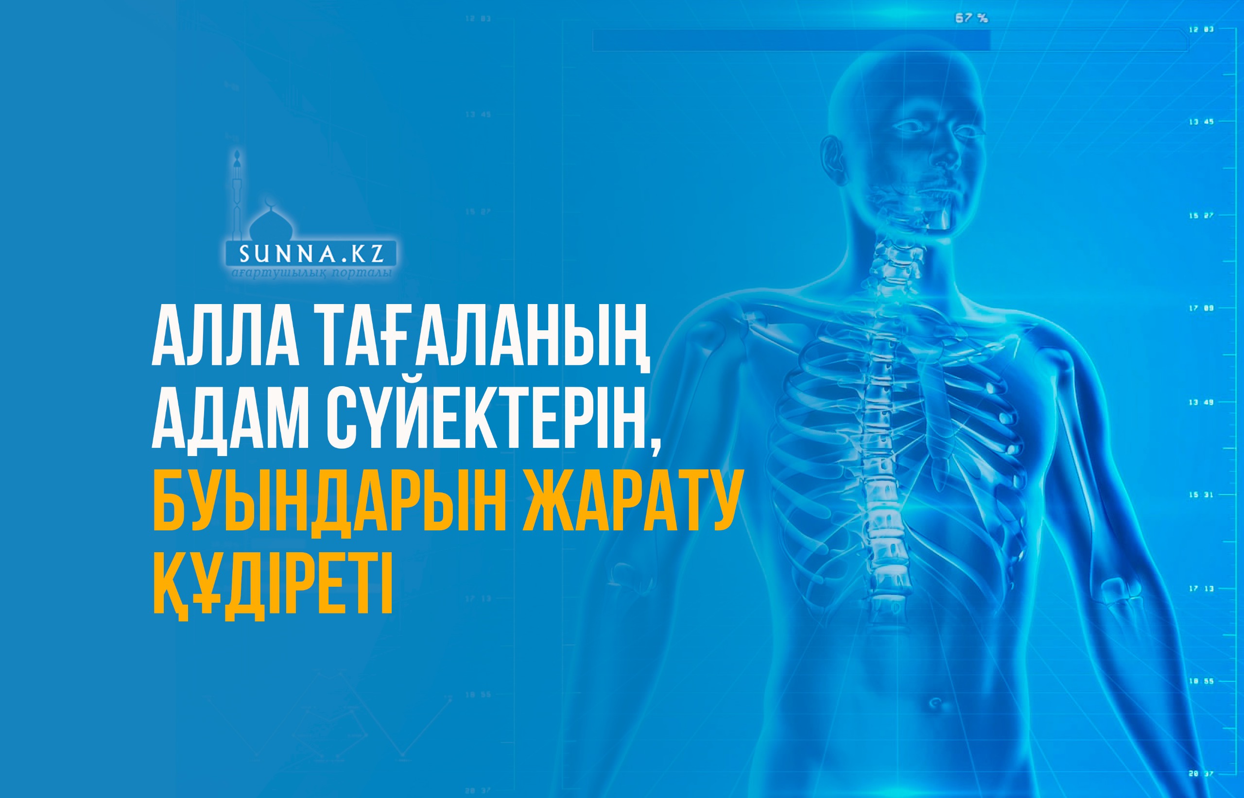 Алла Тағаланың адам сүйектерін, буындарын жарату құдіреті