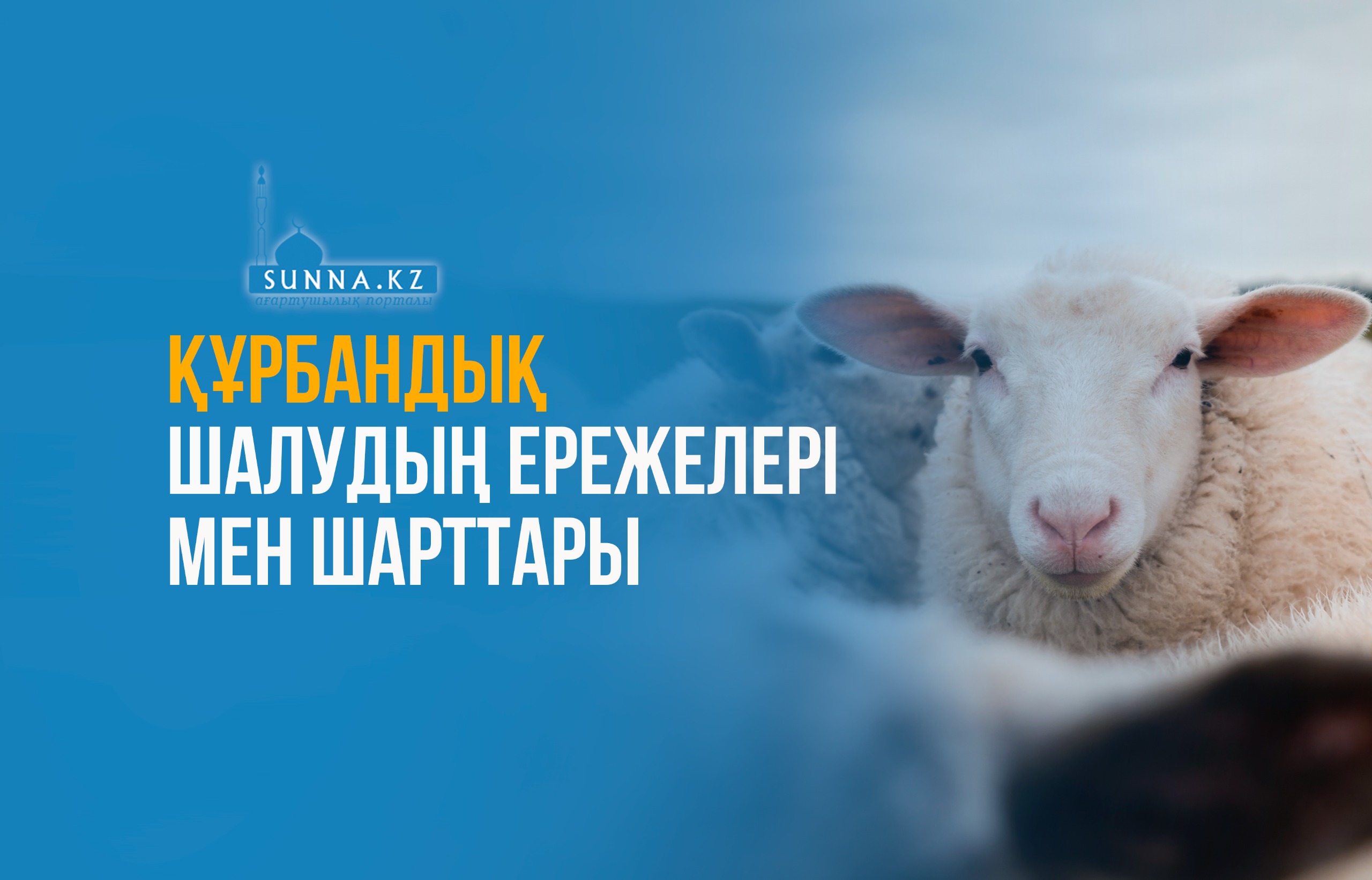 Құрбандық шалудың ережелері мен шарттары