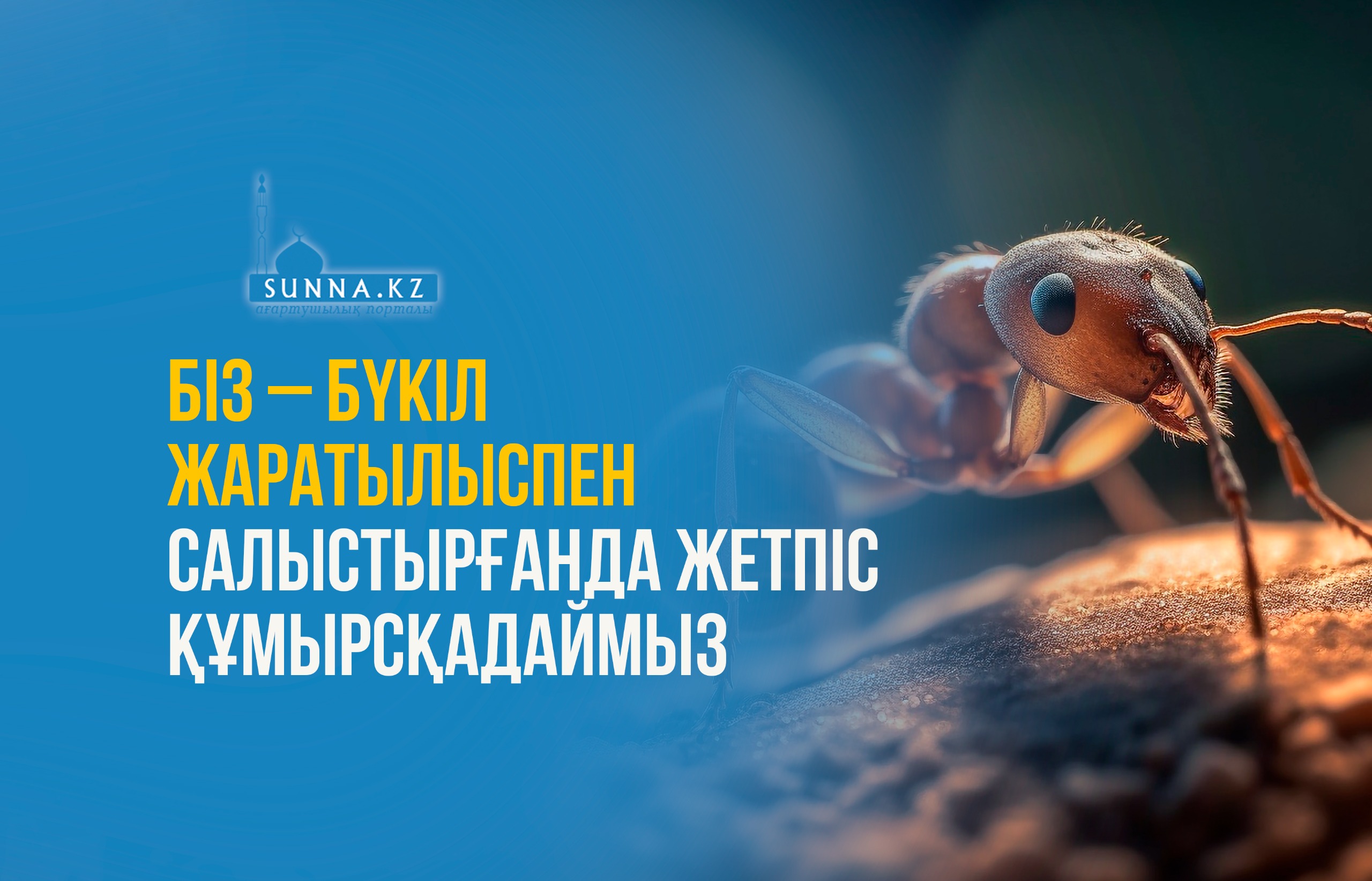 Біз – бүкіл жаратылыспен салыстырғанда жетпіс құмырсқадаймыз
